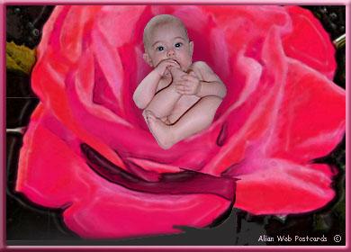 bébé