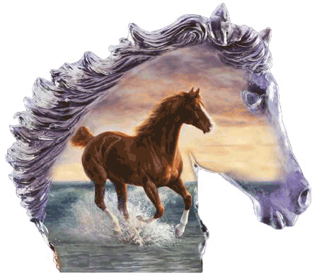 chevaux